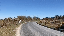 IMG_8009.gif
