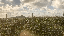 IMG_0399.gif