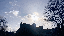 IMG_8941.gif