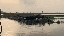 IMG_7303.gif