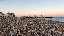 IMG_2847.gif