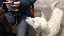IMG_1999.gif