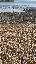 IMG_0125.gif