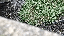 IMG_4542.gif
