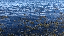 IMG_5430.gif