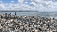 IMG_0495.gif