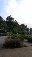 IMG_0380.gif