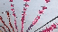 IMG_7261.gif