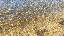 IMG_2659.gif