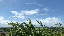 IMG_5358.gif