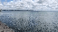 IMG_0483.gif