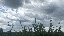 IMG_6540.gif