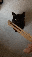 IMG_6989.gif