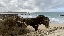 IMG_3482.gif