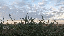 IMG_1851.gif
