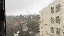 IMG_2205.gif