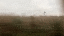 IMG_6126.gif