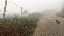 IMG_1986.gif