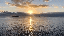 IMG_2576.gif