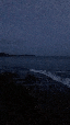 IMG_1411.gif