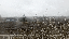 IMG_8747.gif