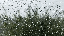 IMG_1327.gif