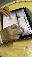 IMG_3742.gif