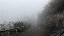 IMG_1984 (1).gif