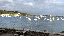 IMG_7021.gif