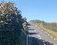 IMG_1144.gif