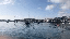 IMG_7003.gif