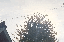 IMG_2840.gif