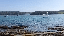 IMG_6735.gif