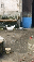 IMG_6941.gif