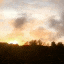 IMG_7473.gif