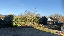 IMG_5110.gif
