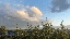 IMG_4572.gif