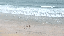 IMG_8189.gif