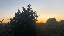 IMG_0838.gif