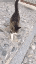 68abc009625b27c53d61d75f4b75a4.gif