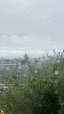 sd1569410001_2.gif