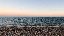 IMG_2846.gif