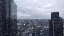 IMG_0375.gif