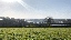 IMG_6961.gif