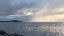 IMG_2599.gif
