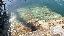 IMG_7032.gif