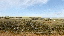 IMG_8053.gif