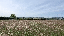 IMG_2560.gif