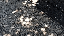 IMG_1556.gif