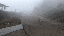 IMG_1998.gif